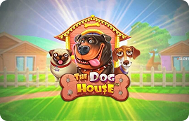 The Dog House — играть в dragon money casino | Pragmatic Play